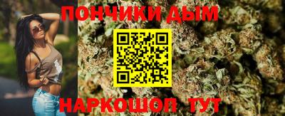 крисы Краснознаменск