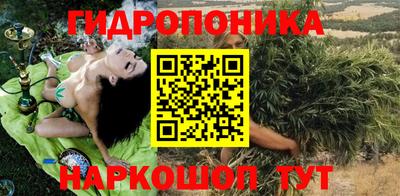 крисы Краснознаменск