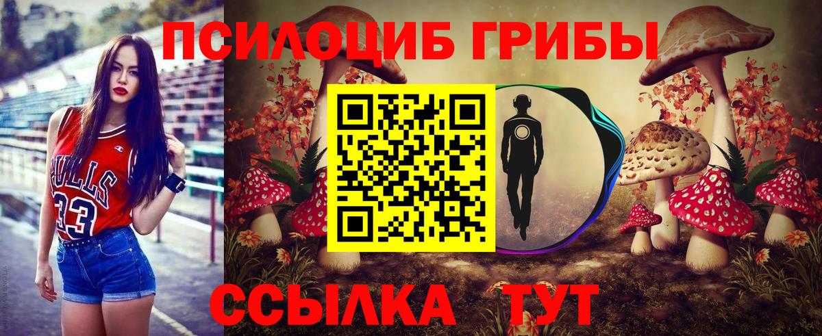 Галлюциногенные грибы прущие грибы Кинель
